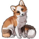 Domestic Fox