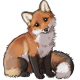 Red Fox