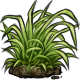 spring_grass.png